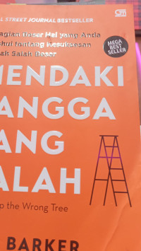 Image of Mendaki Tangga yang Salah