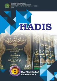 Image of HADIS X